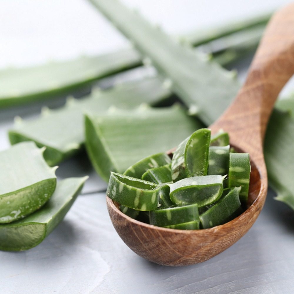 aloe-vera-slices-skin-care