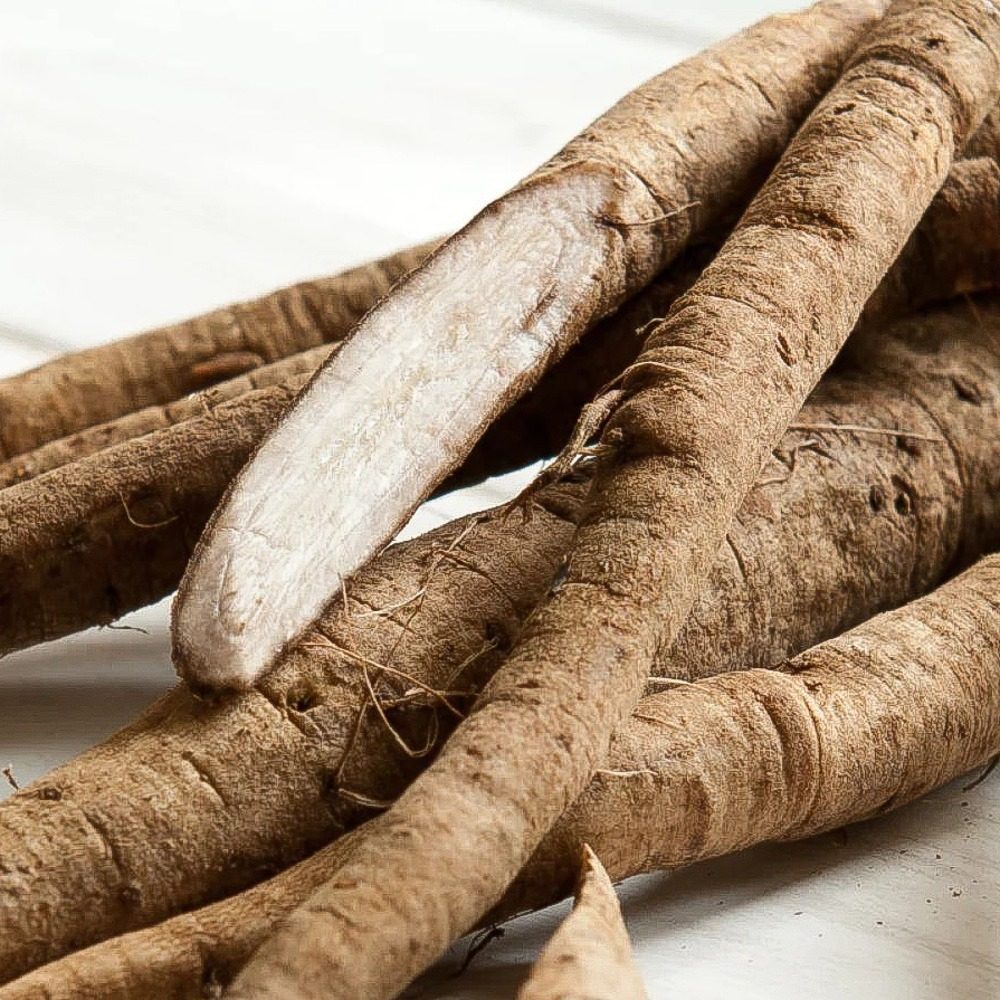 burdock root