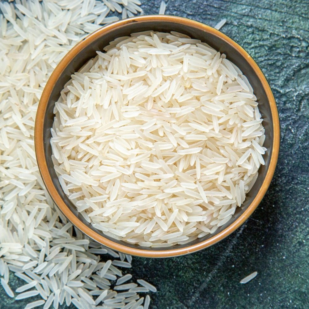 rice protein